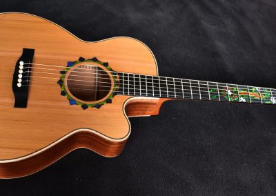 Guitar 66 – Arizona Lizard