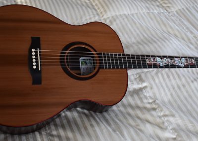 Guitar 67 –  Raven and Eagle